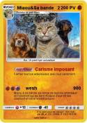 Miaou&Sa bande