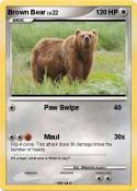 Brown Bear