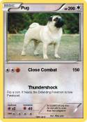 Pug