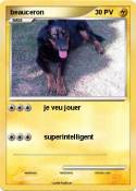 beauceron