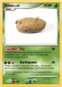 Potato