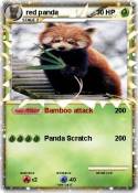 red panda