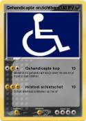 Gehandicapte