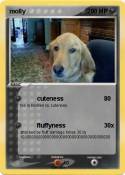 molly