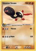 Houston Texans