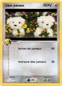 chien jumaux