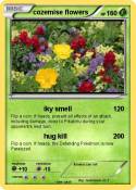 cozemise flower