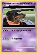 rottweiler en
