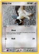 Sleep Cat