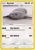 Big Seal