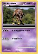 mastiff stakeur