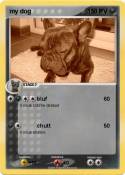 my dog