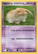 mignion ex