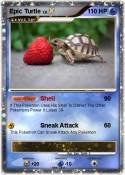 Epic Turtle
