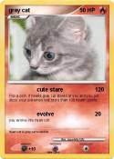 gray cat