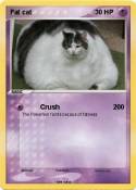 Fat cat