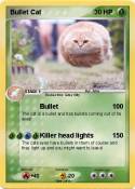 Bullet Cat