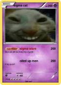sigma cat