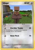Villager