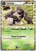 Harambe