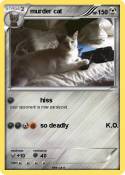murder cat