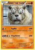 KENNY THE TIGER