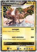 dragonpappilon