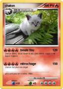 chaton