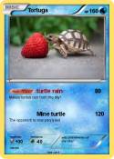 Tortuga