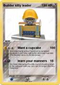 Builder kitty