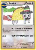 Taco Cat