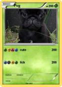 Pug