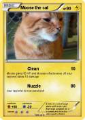 Moose the cat