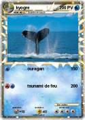 kyogre
