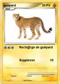 guèpard
