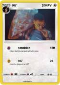 667