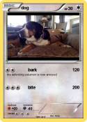 dog
