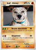 Staff .:Shiney: