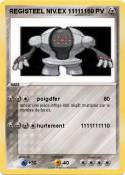 REGISTEEL NIV.E