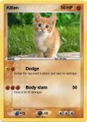 Kitten