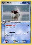 Killer Whale