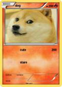 dog