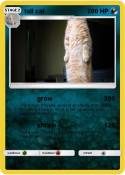 tall cat