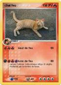 chat feu