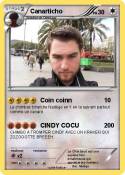 Canarticho
