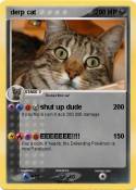derp cat
