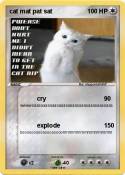 cat mat pat