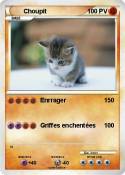 Choupit