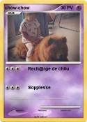 chow-chow