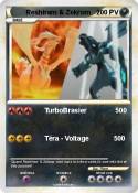 Reshiram & Zekr